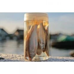 Albatros Aasvisjes Voorn -Fox Verkoopwinkel 10971816652Albatros Aasvisjes Voorn