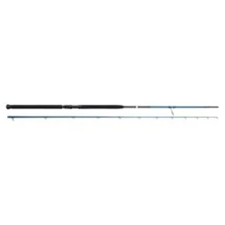 Savage Gear SGS2 Shore Jigging 290cm 20-80g